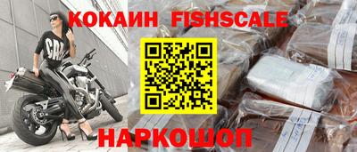 крисы Кинель