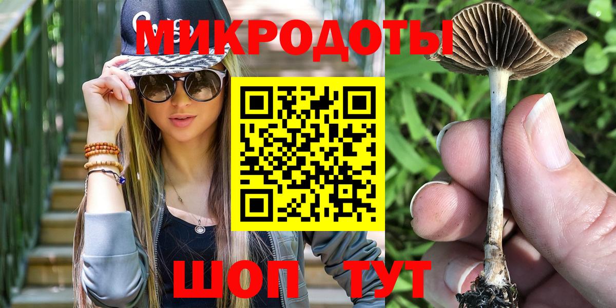 Псилоцибиновые грибы Cubensis Кулебаки